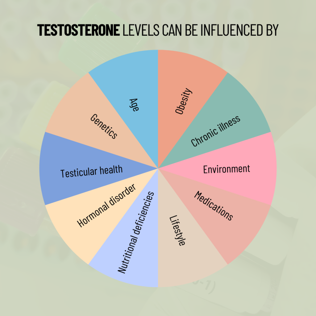 testosteron levels influenced on these factors